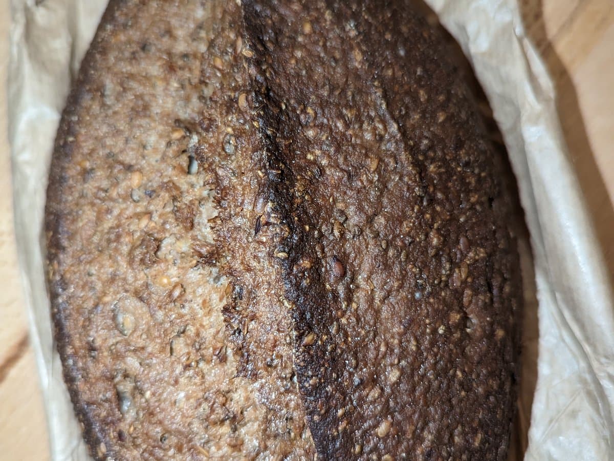 Paine fara gluten 1